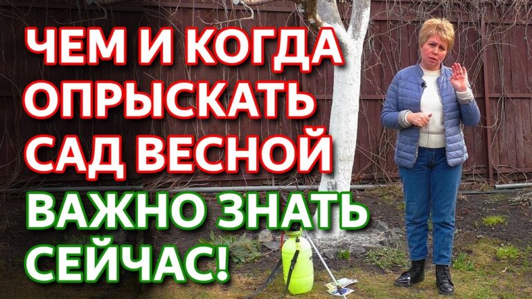 Как правильно обработать садовые деревья весной